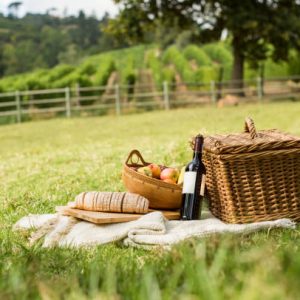 Pique-nique en Finistère sud / Picnic in South Finistère